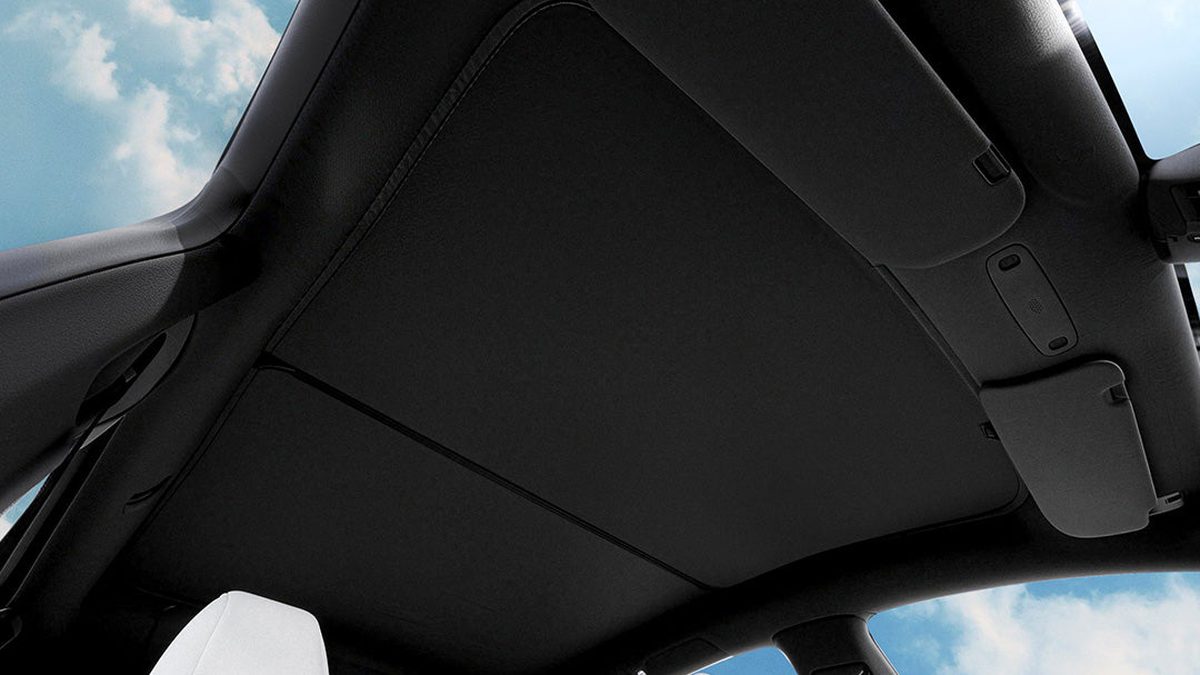 VION products for Tesla